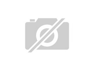 400. 000 Euro in nur 7 Monaten verdienen